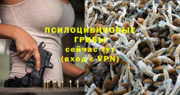 СК Майский