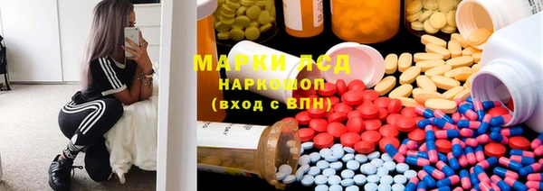 сатива Лихославль